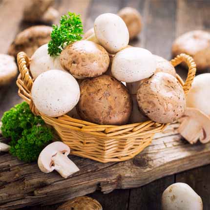 Actif : Champignon - Lotion Tonique Revitalisante