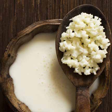 Actif : Probiotiques - Gelée Tonifiante Régénératrice