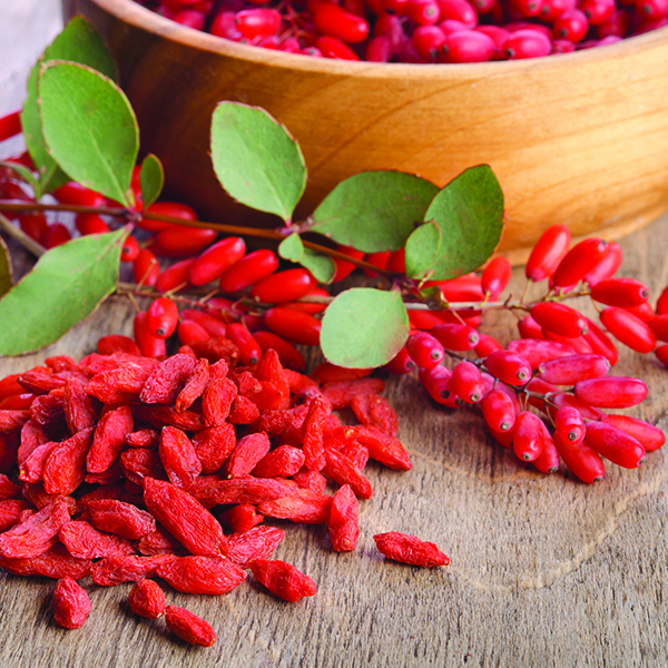 Actif : Goji - Gel Douche Énergisant Nectarine & Abricot
