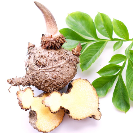 Actif : Konjac - Specific Diet